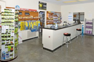 smallbatteries-300x200 smallbatteries-300x200